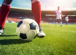 欧博娱乐,产品,欧博娱乐官网,欧博娱乐,欧博娱乐官网